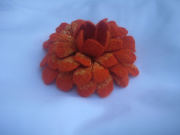 Orange petals picture no. 3