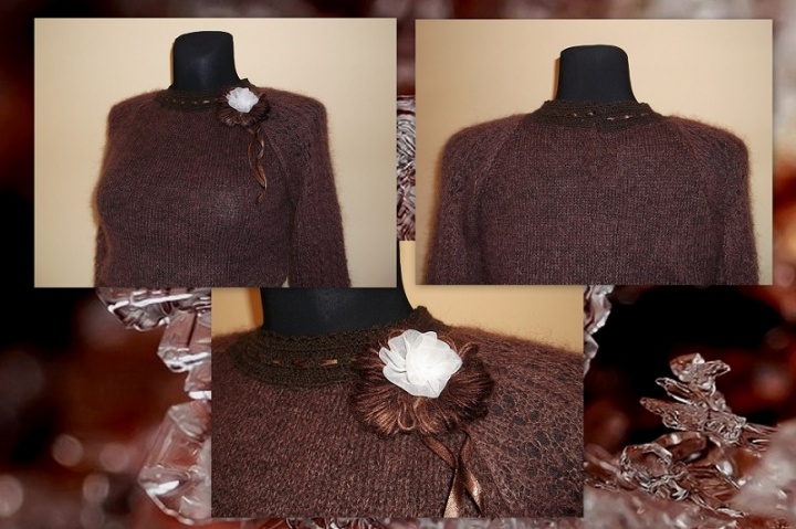 Brown blouse picture no. 2