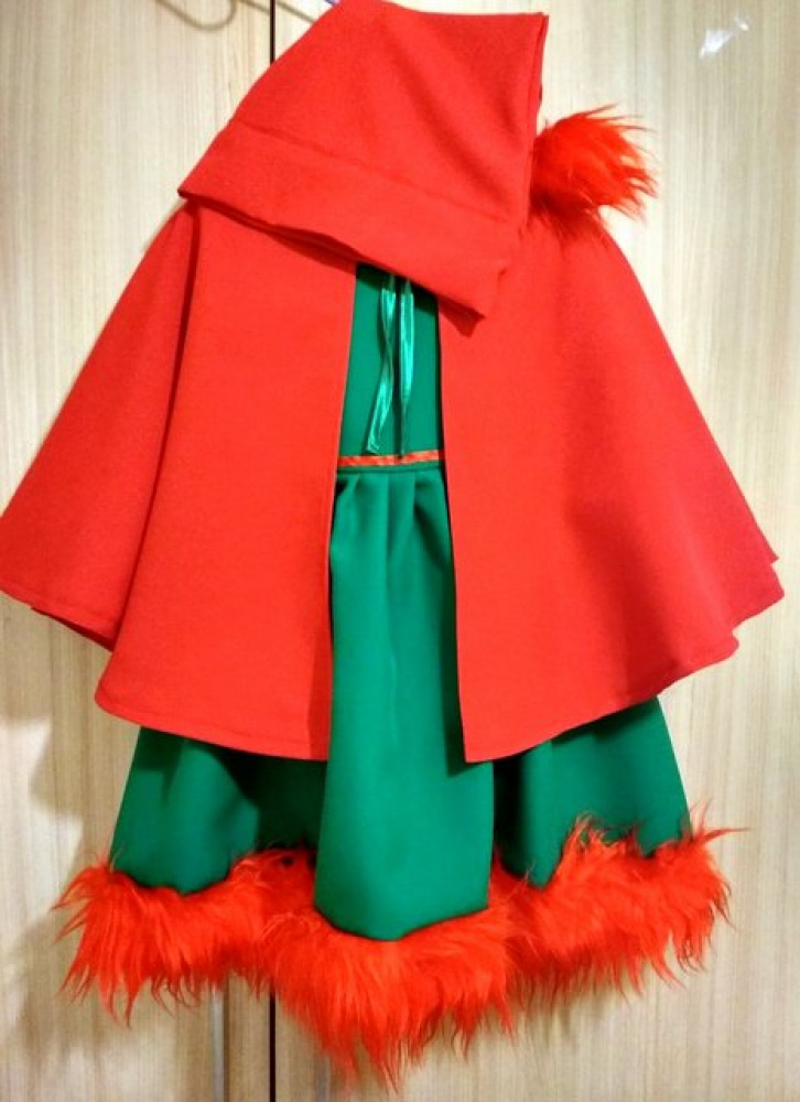Gnome carnival costume for a girls picture no. 2