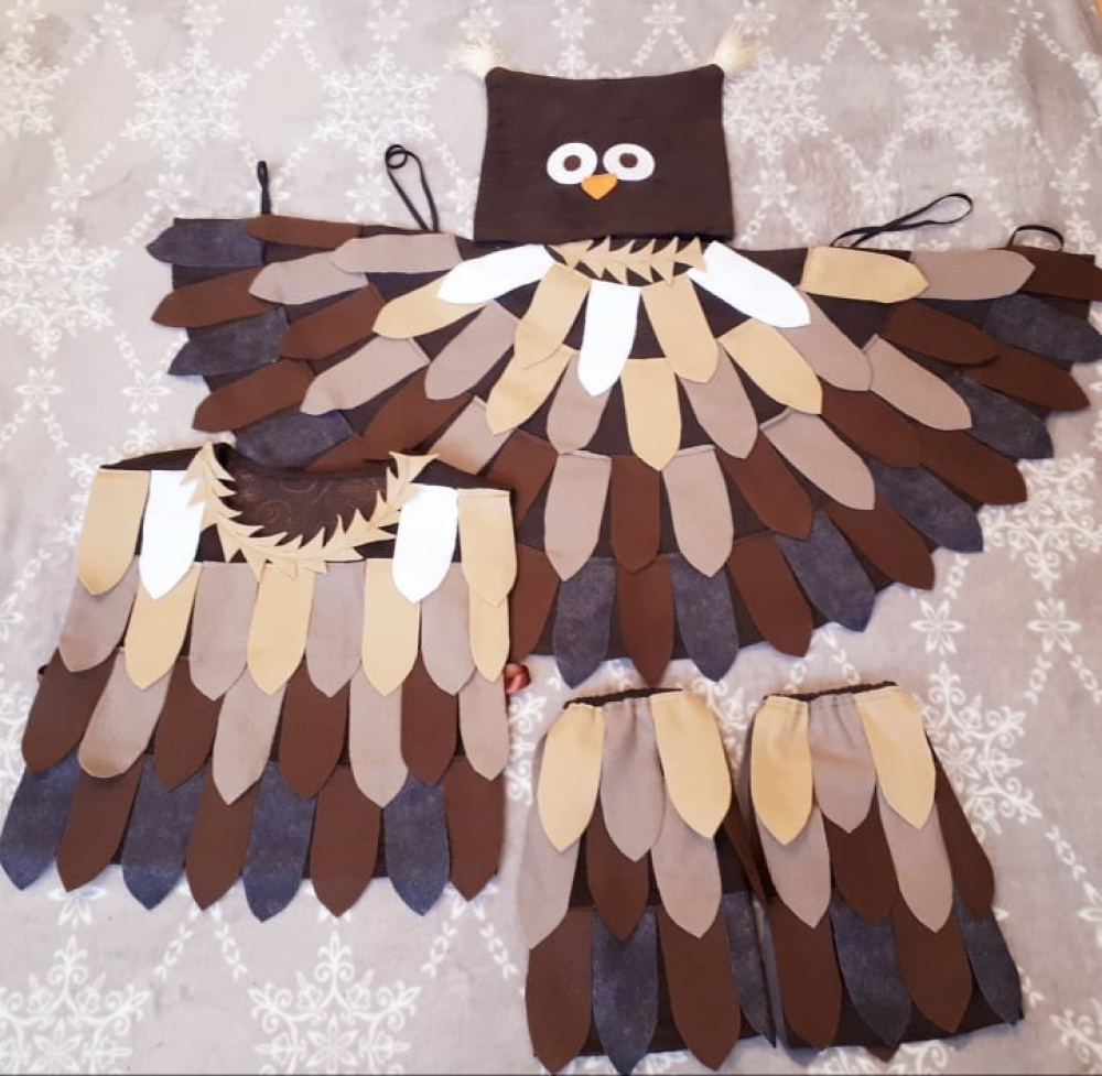 Owl, bird children's carnival costume