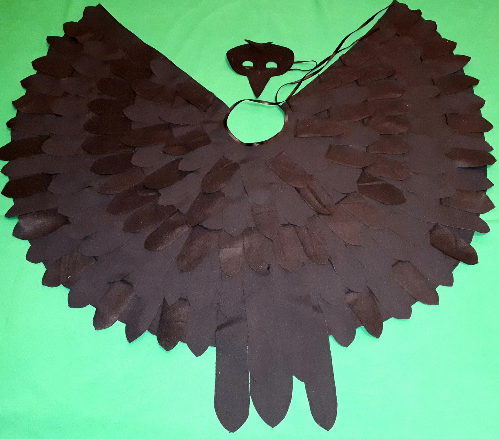Carnival costume of a crow for kids