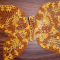Butterfly - Lace - needlework