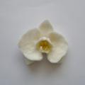 orchid brooch - Flowers - felting