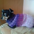Knitwear Maze - For pets - knitwork