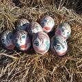 Funny Easter eggs - Easter eggs - making