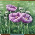 Poppies 2 - Oil painting - drawing