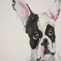 French Bulldog - Oil painting - drawing