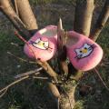 hello kitty tapkytes - Shoes & slippers - felting
