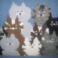 Knitted handbag " katinukas " - Handbags & wallets - knitwork