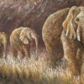 Three elephants 60x90 - Oil painting - drawing