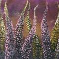 Lupine dance 30x100 - Oil painting - drawing