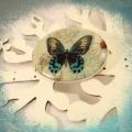 Brooch "Butterfly" - Brooches - beadwork