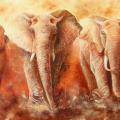 Elephant Safari 150x65, oil / canvas. - Oil painting - drawing