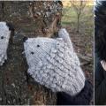 Hedgehog mittens  - Gloves & mittens - knitwork