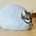 Cat bed made of wool - For pets - felting