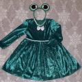 Frog Carnival Costume for Girl - Other clothing - sewing
