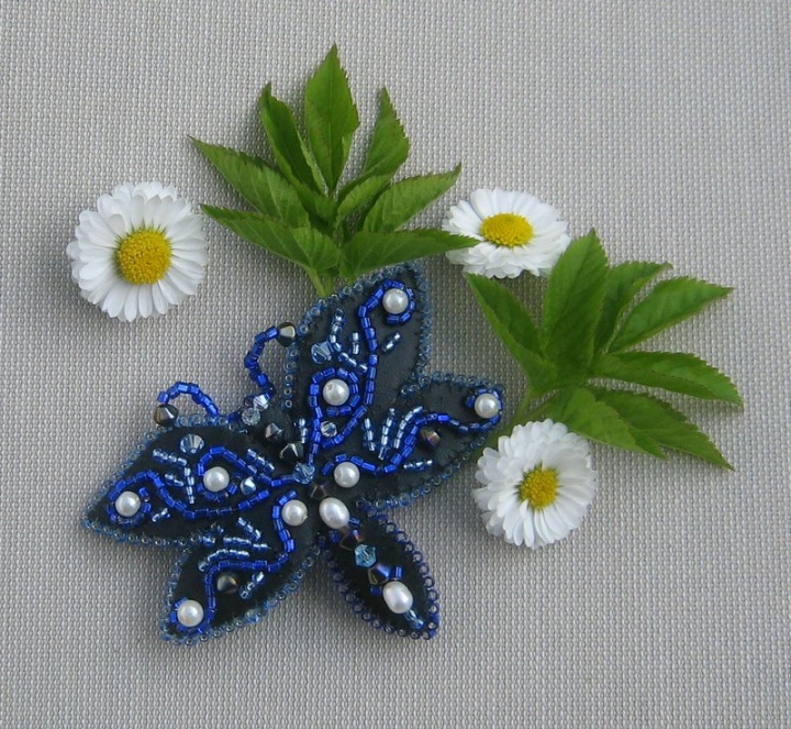 Blue butterfly