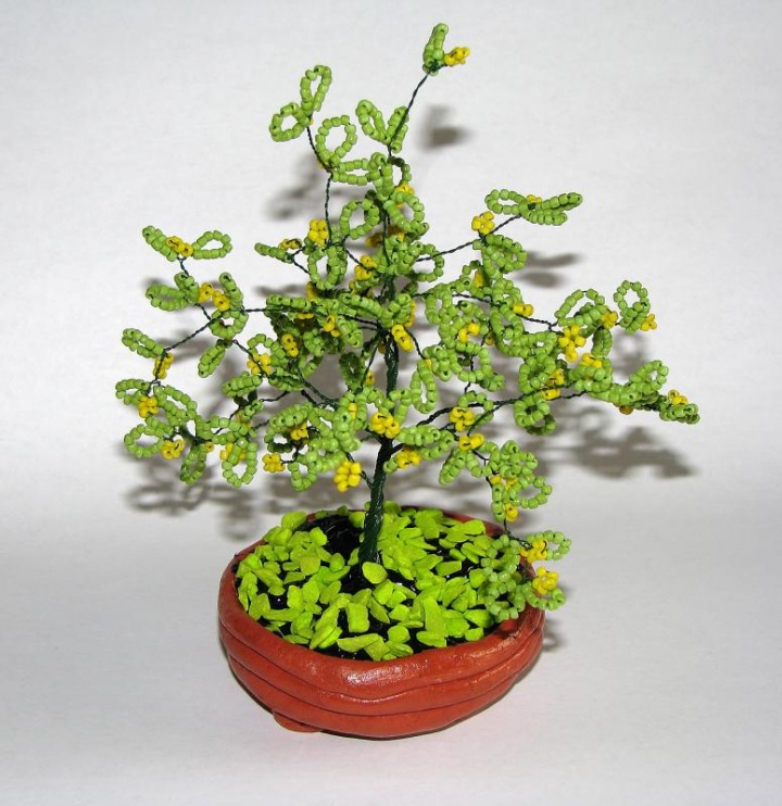 Flowering Tree
