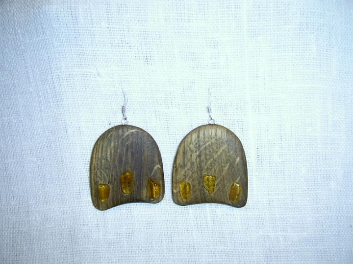 Wooden earrings 0164