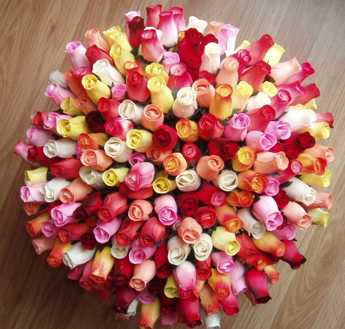 wooden roses