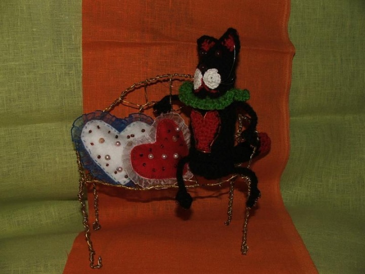 The cat dreamer on the bench