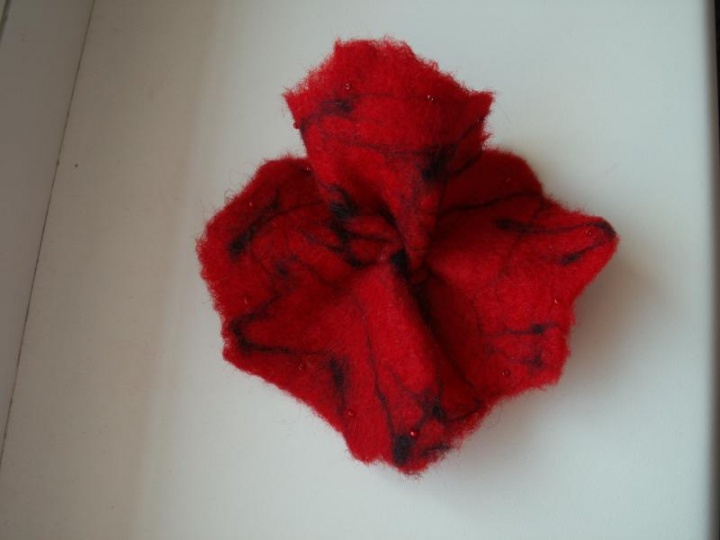 type of poppy