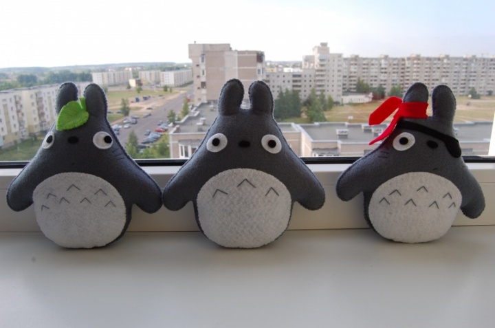 Totoro picture no. 3