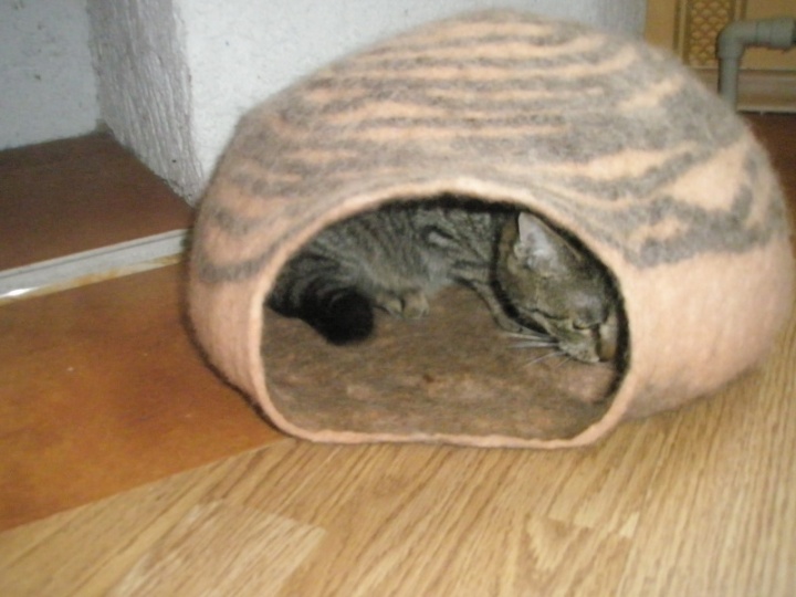 bearing cat