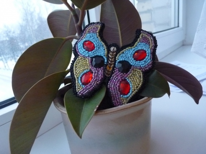 butterfly in her hair picture no. 3