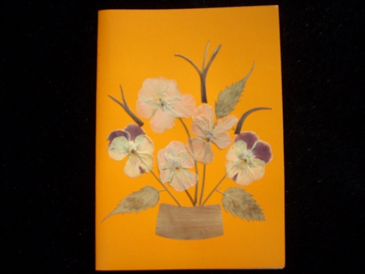 Pansies