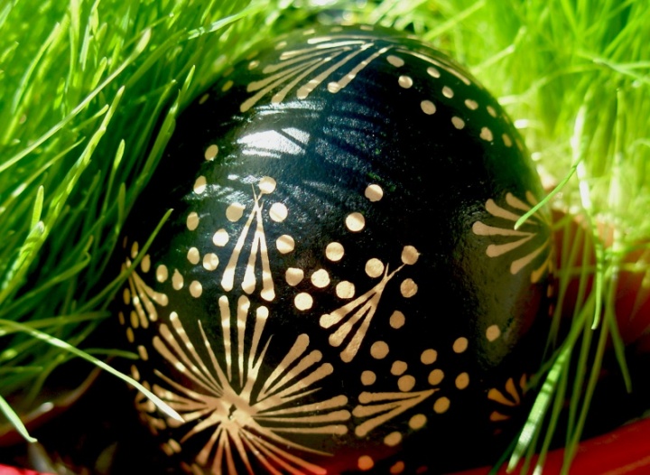 " basket " Easter eggs and green :)