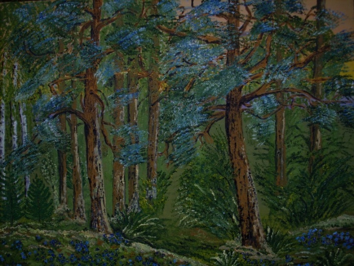 Spring pine forest