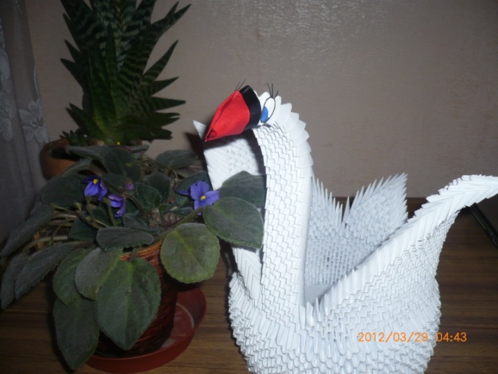 swan Mom