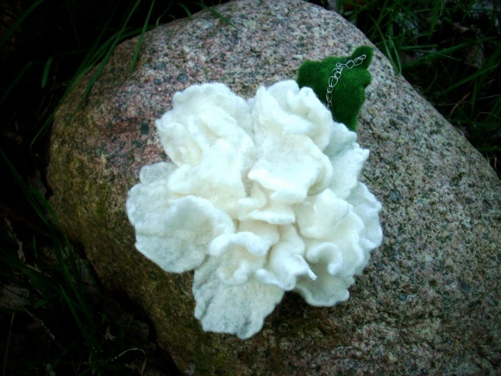 Baltažiedė