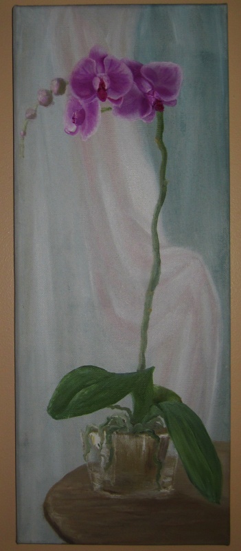 Orchid
