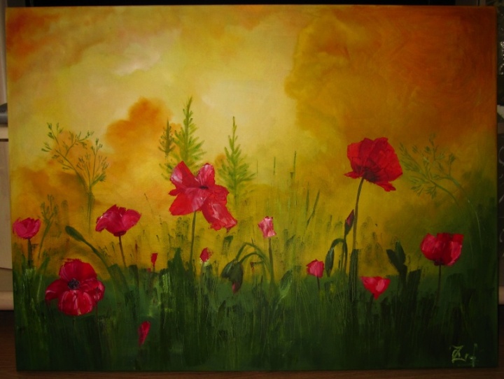Poppies