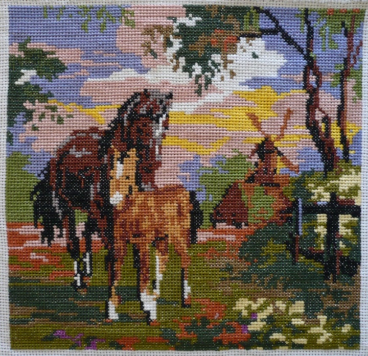 Horses