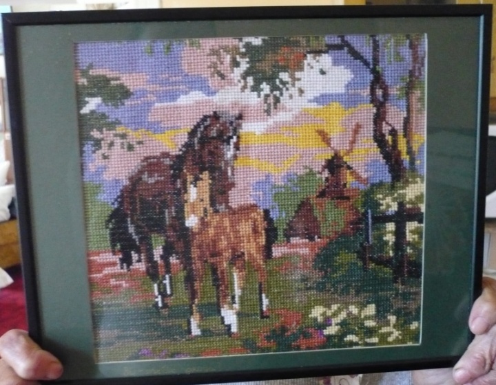 Horses picture no. 2