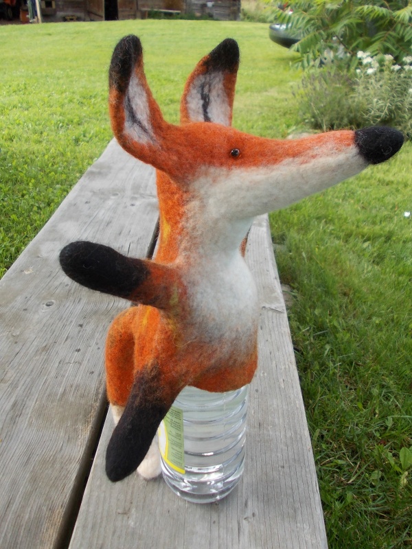 Velta fox