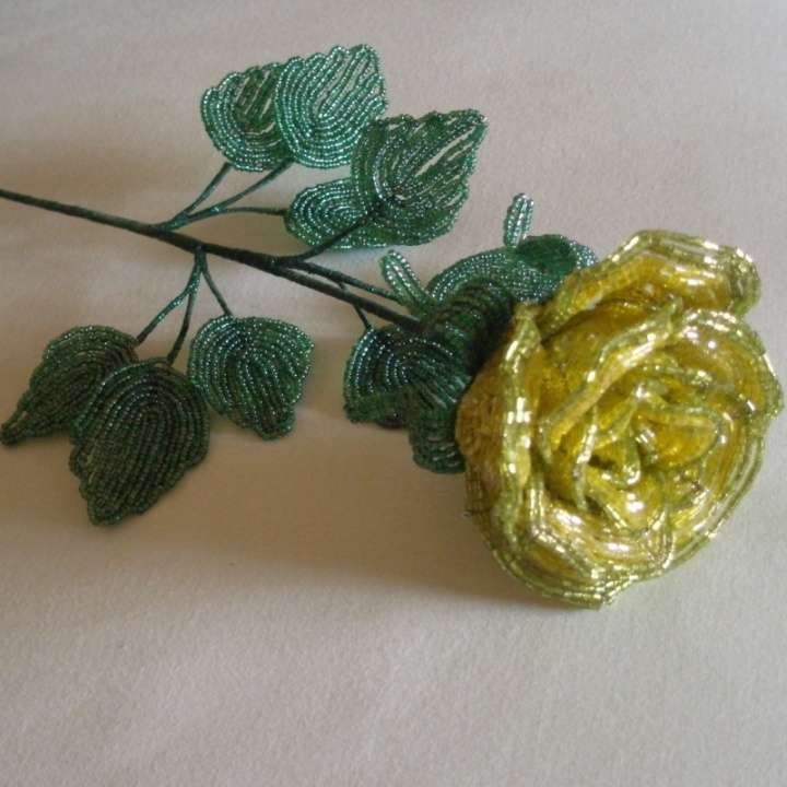 Yellow Rose picture no. 2