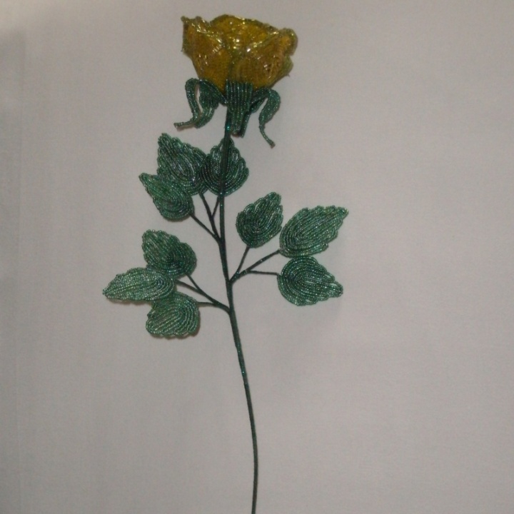 Yellow Rose picture no. 3