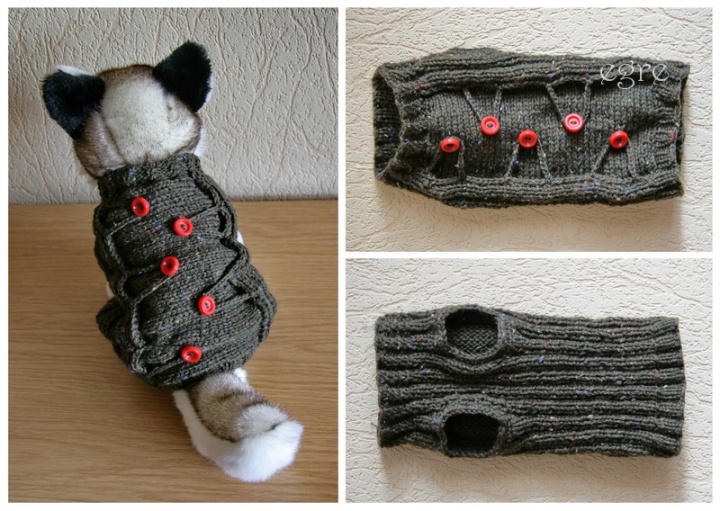 dog vest