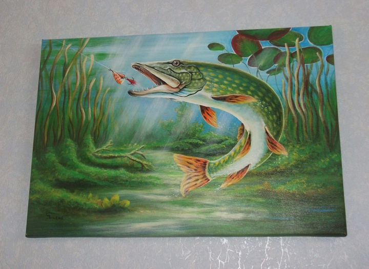 Hake 40x60 canvas, acrylic