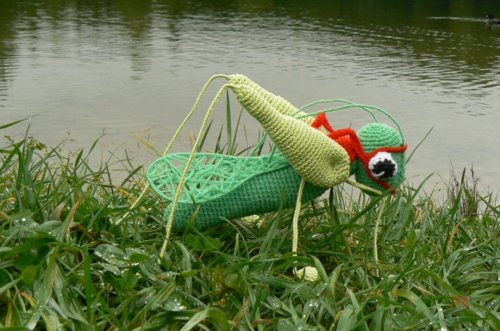 ŽIOGAS
