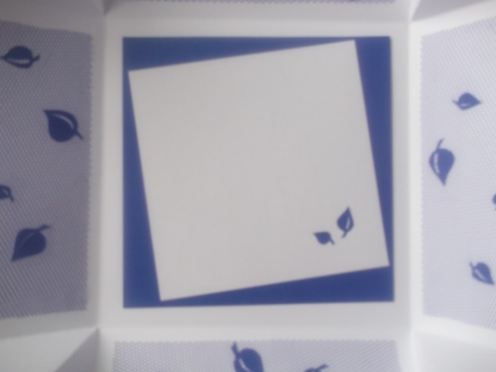 The box - a gift picture no. 2