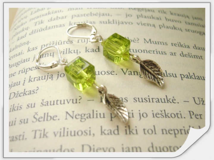 Earrings " Tab "