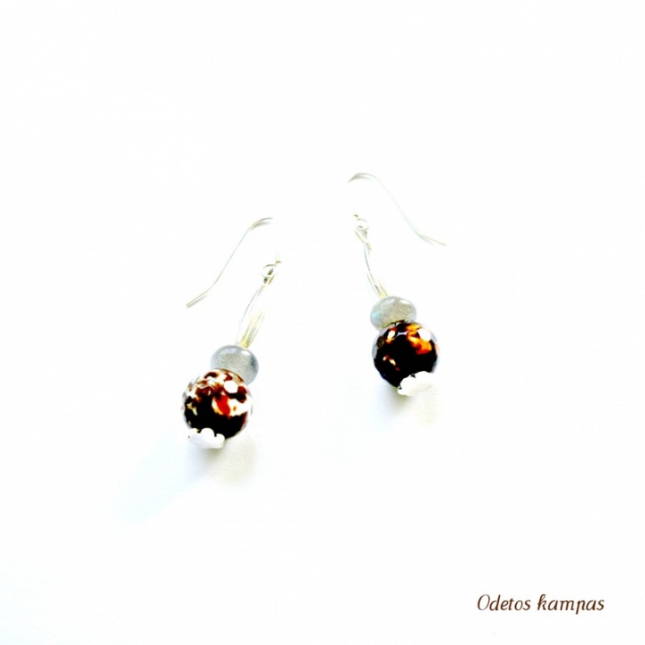 Earrings " Mystery "