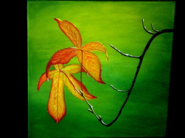 " Solar touch "