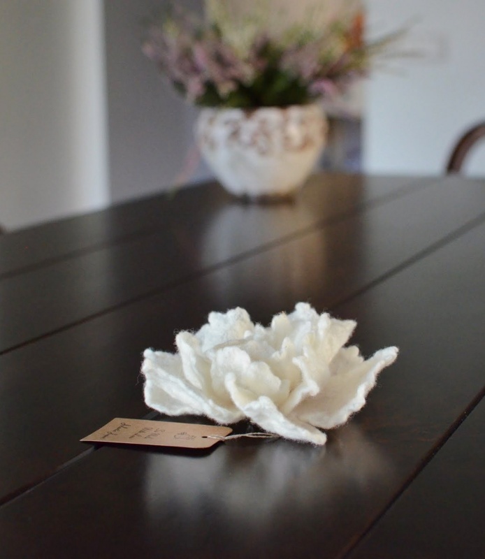 White wild poppy