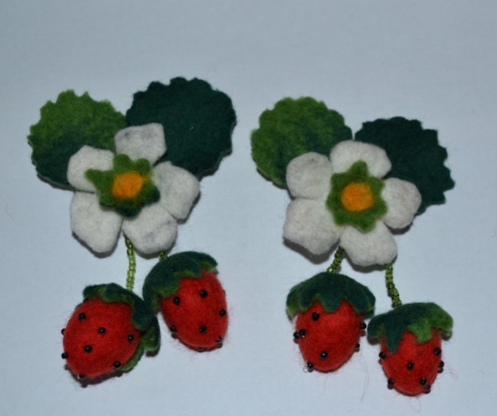 Wild Strawberries